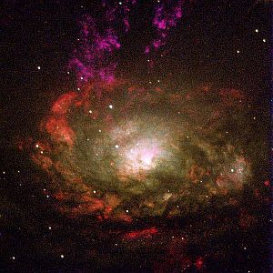 The Circinus galaxy, a Type II Seyfert galaxy