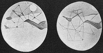 Percival Lowell's drawings of the "canals" on Mars