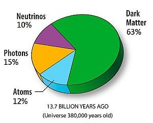 Composition of the very early Universe