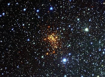 The super star cluster Westerlund 1